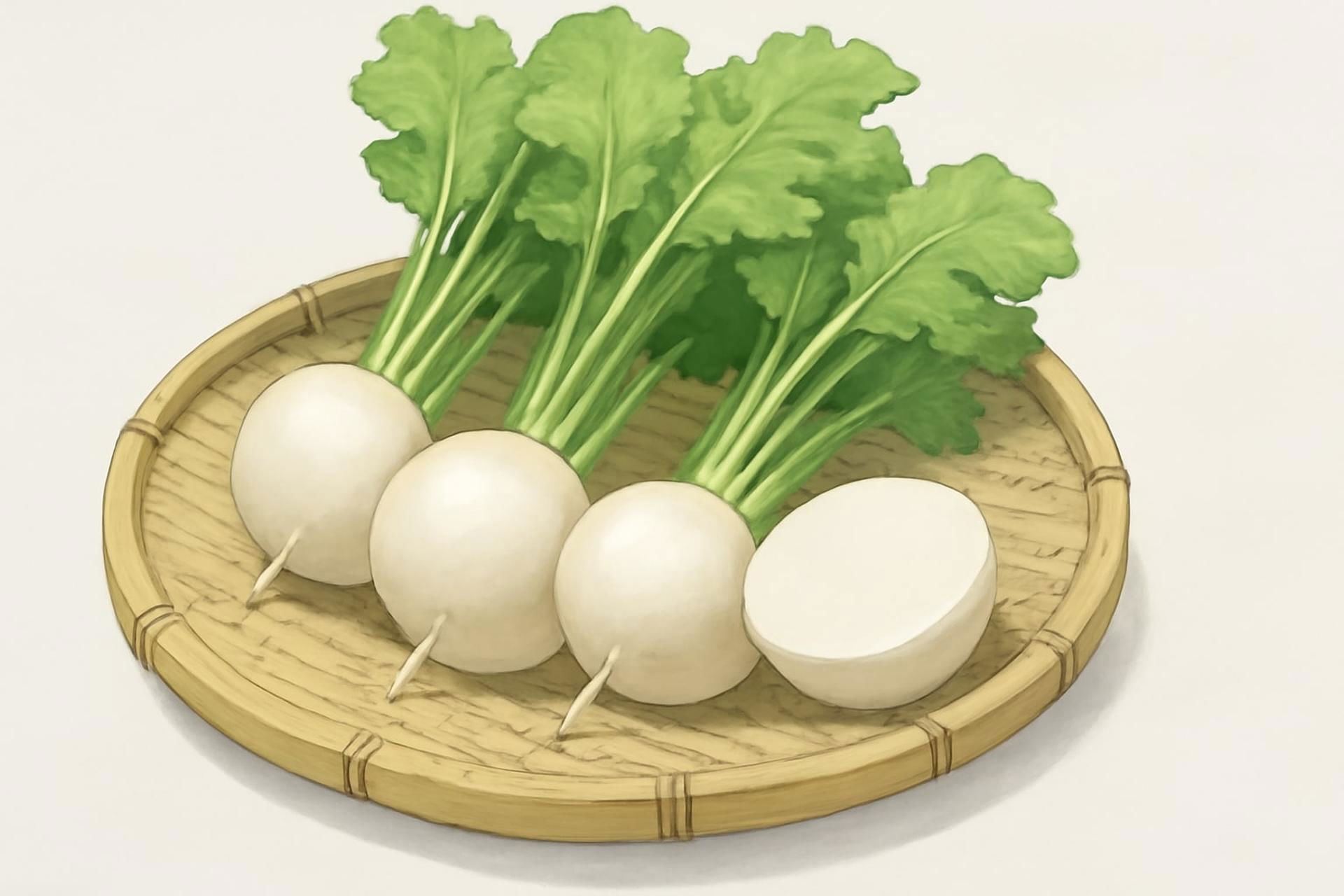 shogoin-kabura-kyoto-turnip